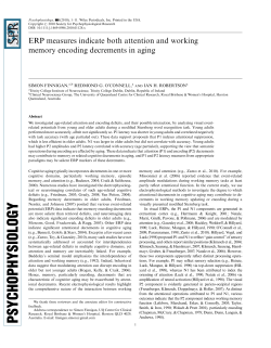 ERP measures indicate both attention and working memory