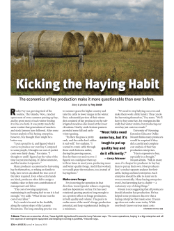Kicking the Haying Habit