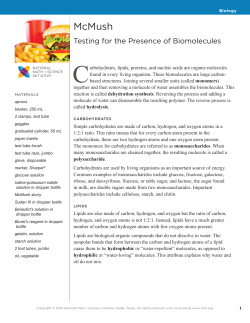McMush - Skagway School District