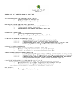SFT Guide PDF
