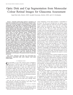 Optic Disk and Cup Segmentation from Monocular Colour Retinal