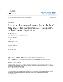 Locomotor loading mechanics in the hindlimbs of tegu lizards