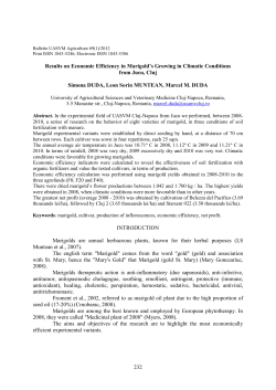 232 Results on Economic Efficiency in Marigold`s Growing in