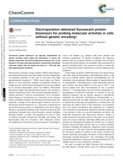 Electroporation-delivered fluorescent protein