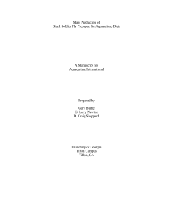 Mass Production of Black Soldier Fly Prepupae for