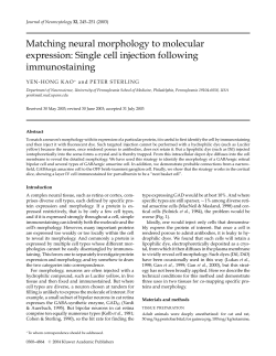Matching neural morphology to molecular expression: Single cell