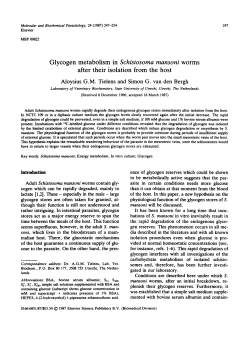 Glycogen metabolism in Schistosoma mansoni worms after their