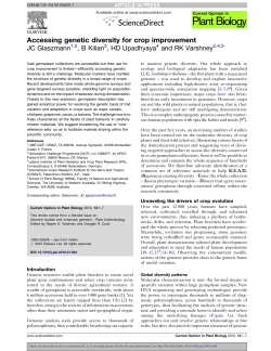 Accessing genetic diversity for crop improvement