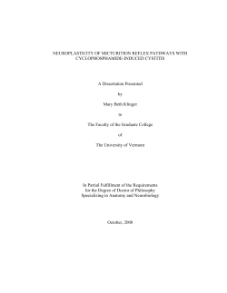 NEUROPLASTICITY OF MICTURITION REFLEX PATHWAYS WITH