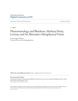 Phenomenology and Blindness