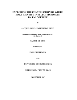 exploring the construction of white male identity in selected novels