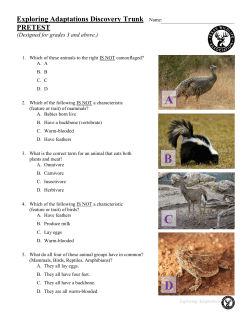 Exploring Adaptations Pre-test
