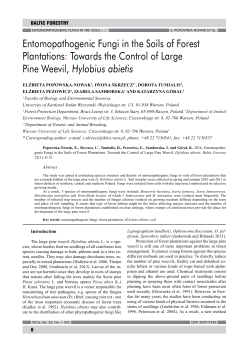 Entomopathogenic Fungi in the Soils of Forest Plantations: Towards