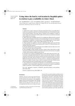 Living where the food is: web location by linyphiid spiders in relation