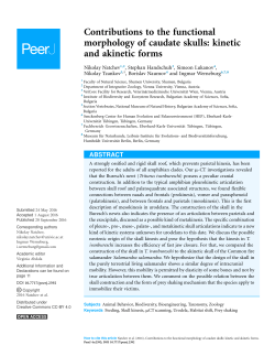 Contributions to the functional morphology of caudate skulls