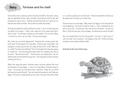 Story Tortoise and his shell