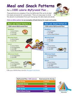 Meal and Snack Patterns