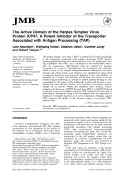 The Active Domain of the Herpes Simplex Virus Protein ICP47: A