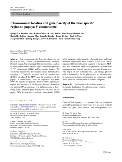 Chromosomal location and gene paucity of the male