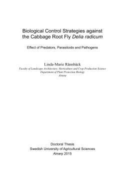 Biological Control Strategies against the Cabbage Root Fly Delia