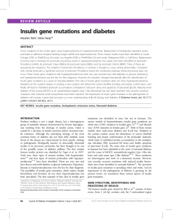 Insulin gene mutations and diabetes