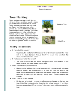 Planting - City of Thornton
