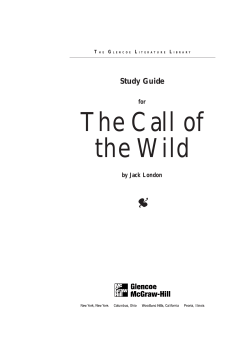 Call of the Wild Study Guide