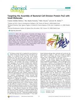 Targeting the Assembly of Bacterial Cell Division