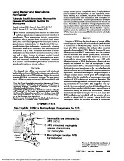 Lung Repair and Granuloma