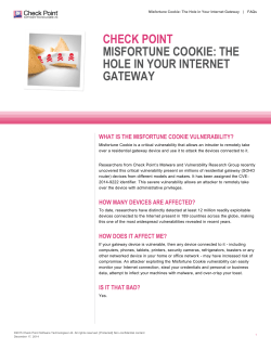 Word Template - Check Point Software