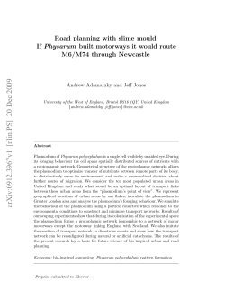 Road planning with slime mould: If Physarum built motorways it