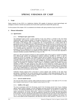 spring viraemia of carp