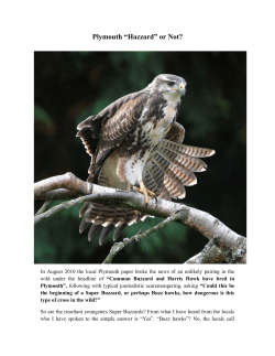 Plymouth &ldquo;Hazzard&rdquo; or Not - ibr falconry directory 2014