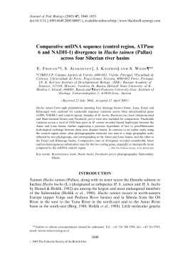 Comparative mtDNA sequence (control region, ATPase 6 and