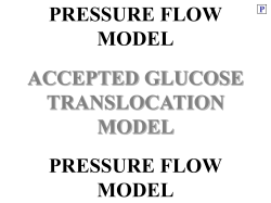 PRESSURE FLOW MODEL PRESSURE FLOW MODEL