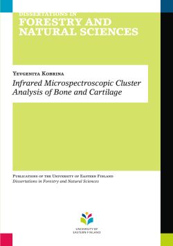 Infrared Microspectroscopic Cluster Analysis of Bone and Cartilage