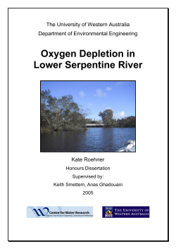 Oxygen Depletion in Lower Serpentine River