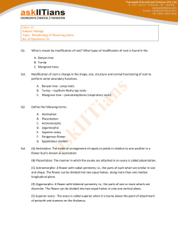 Class: 11 Subject: Biology Topic: Morphology of