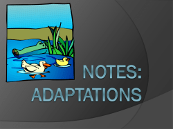 Adaptations - Moore Public Schools