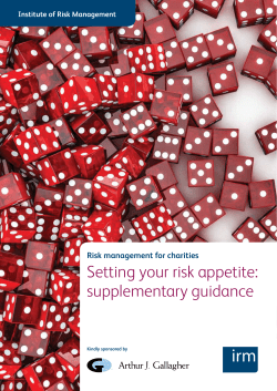 Setting the risk appetite - The Institute of Risk Management