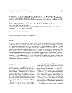 Mutational analysis of pea lectin. Substitution of AsnSuperscript