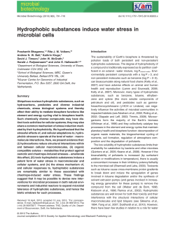 Hydrophobic substances induce water stress in