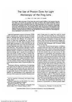 The use of procion dyes for light microscopy of the frog lens.