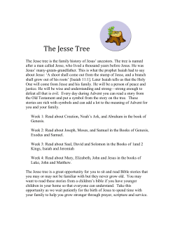 The Jesse Tree