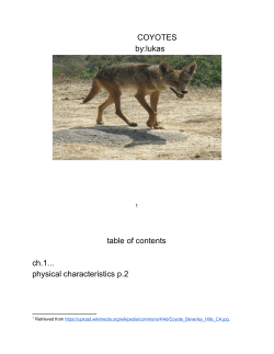COYOTES by:lukas 1 table of contents ch.1... physical