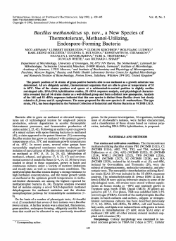 Bacillus methanolicus sp. nov., a New Species of Thermotolerant