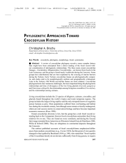 PHYLOGENETIC APPROACHES TOWARD CROCODYLIAN