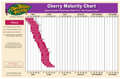 Cherry Maturity Chart