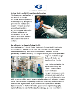 Animal Health and Welfare at Georgia Aquarium The health, care
