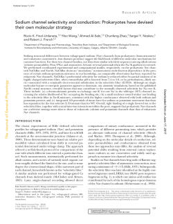 Sodium channel selectivity and conduction